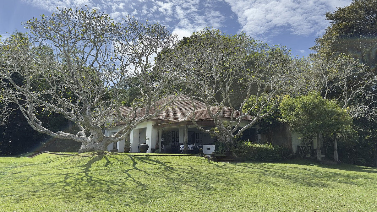 Back of the bungalow at Lunuganga opening to the landscape