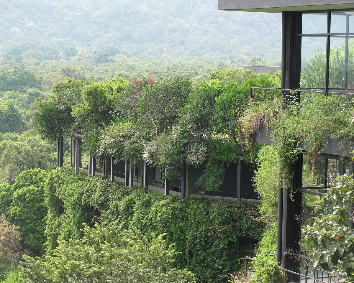 Heritance Kandalama hotel integrated with dense vegetation