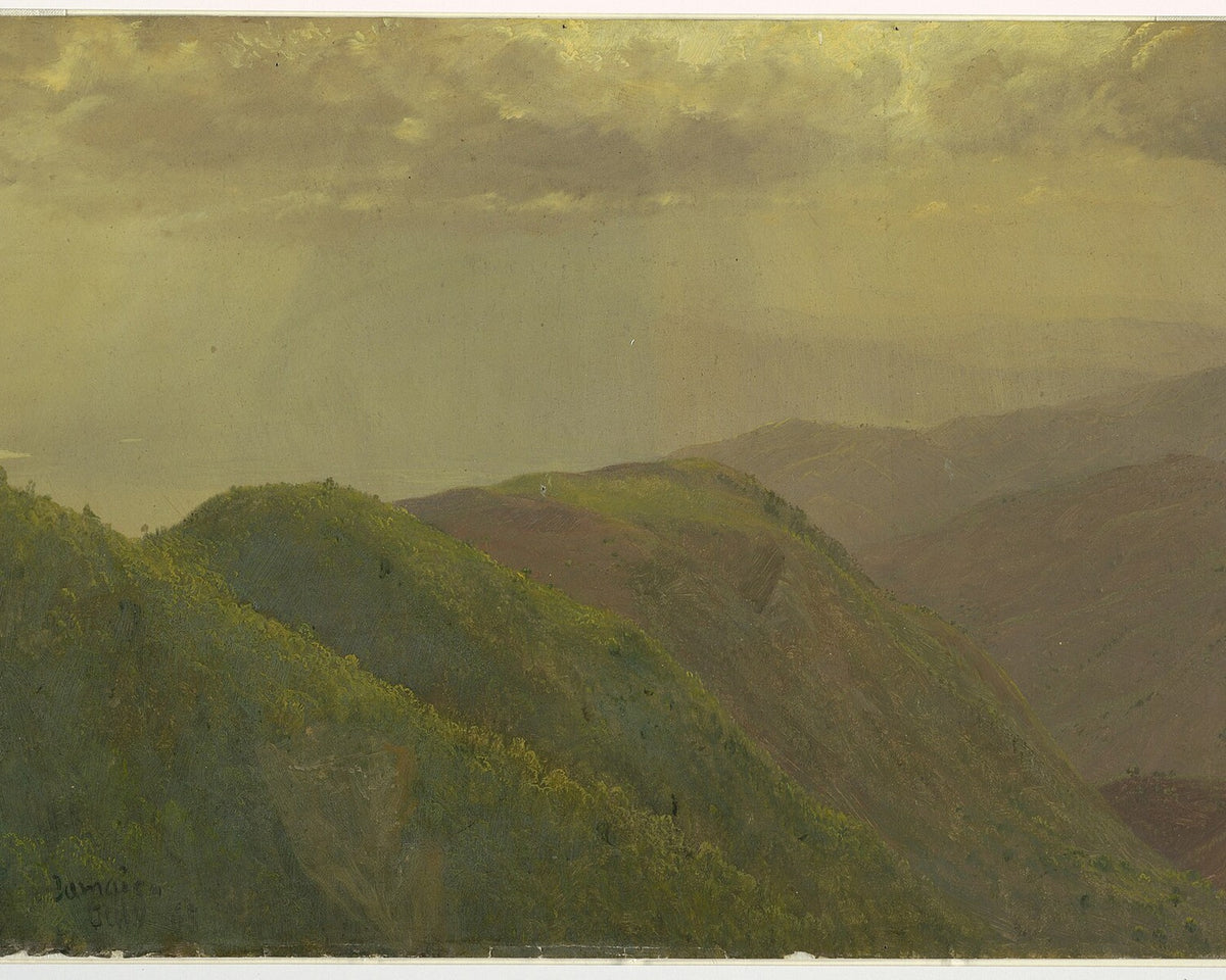 Frederic Church drawing of a forest landscape in Jamaica