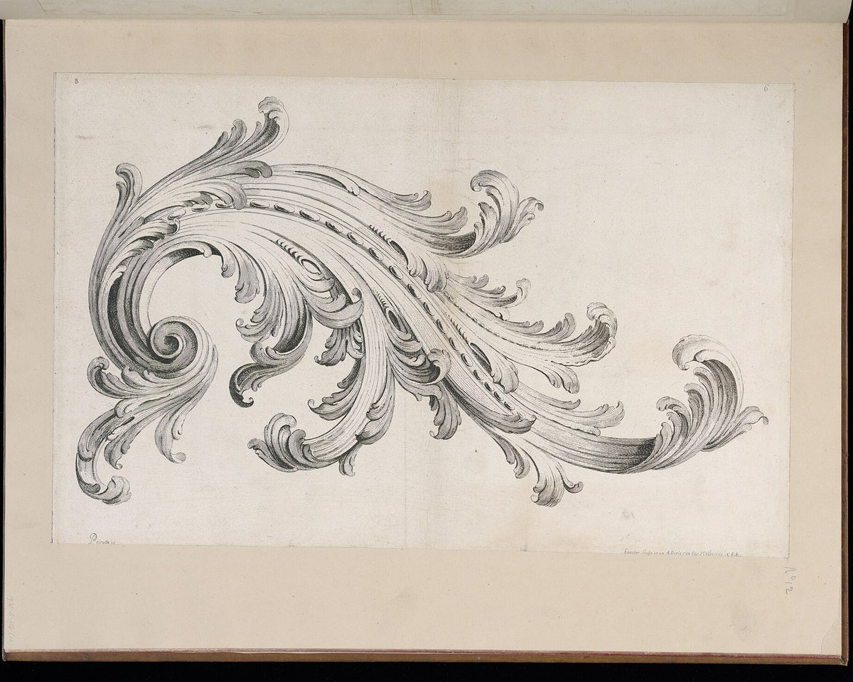 Eighteenth-century acanthus leaf design print