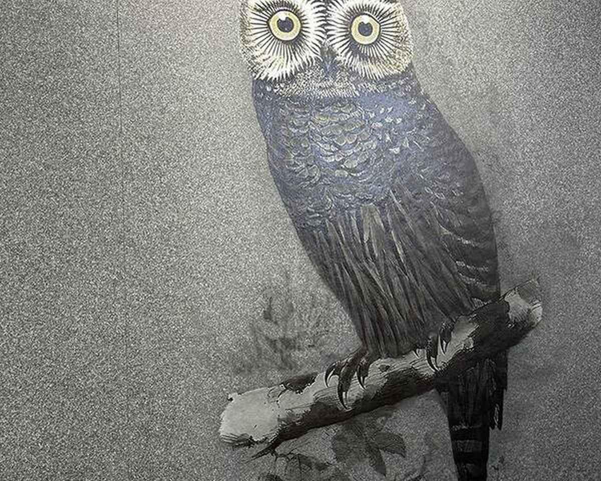 Illustrated owl rendered across a ceramic surface at Cersaie 2025