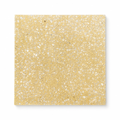 Lion terrazzo tile detail