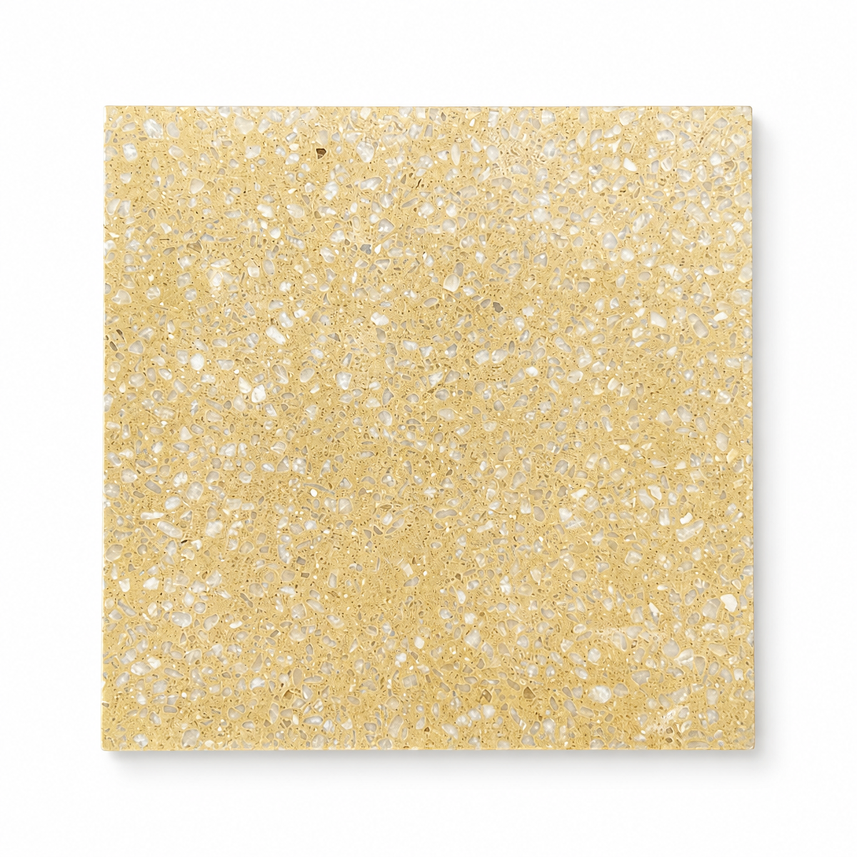 Lion Downing Straw 8 by 8 terrazzo tile on a white studio background